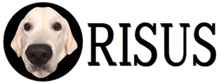 RISUS　イングリッシュゴールデンレトリバー専門犬舎